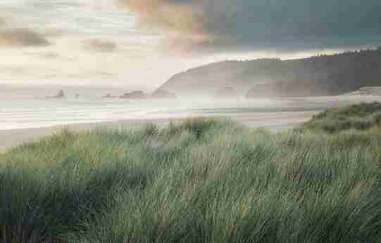 Спокойна природа с мека светлина